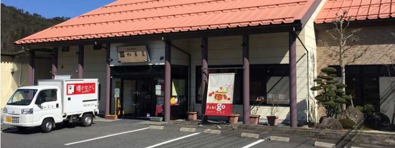 ��Ղ̔z���̗m���ǂ�Ă��y�\�̐��ǂ�z���T�C�g